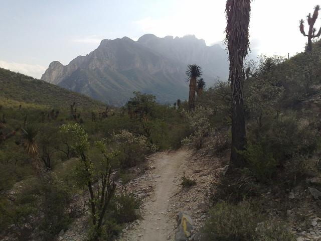 La Huasteca